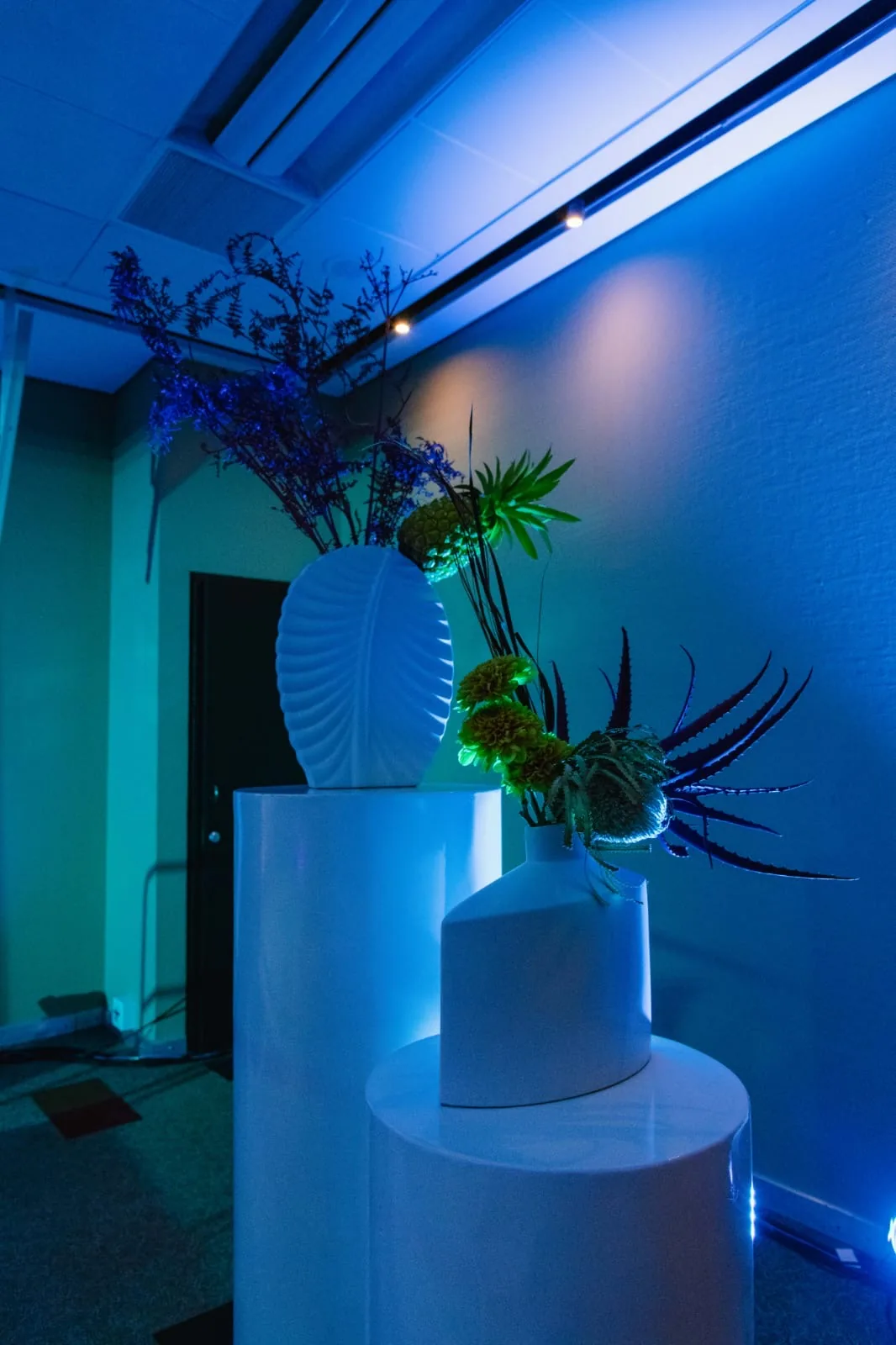 Floral arrangements on white plinths under blue event lighting