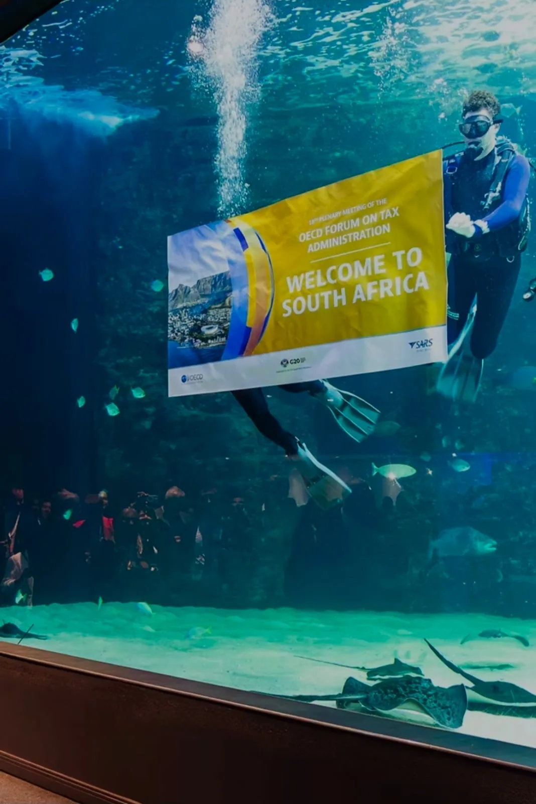 Diver holding a Welcome to South Africa banner for the OECD Forum on Tax Administration inside the Two Oceans Aquarium tank